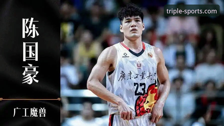 陈国豪“回避条款”全面升级：CBA状元卡位战背后的规则博弈深度分析