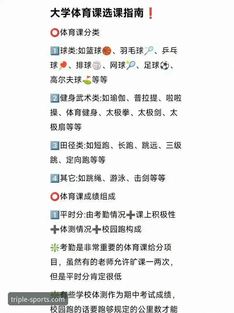 三亿体育平台使用安全完整指南：从下载到登录的实用经验分享